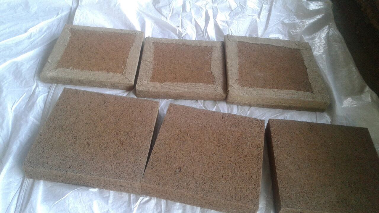 Coir Cushions with Jute Support