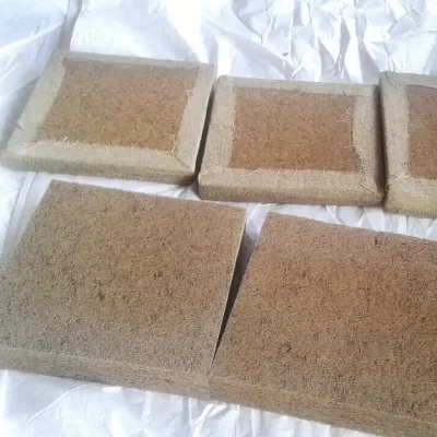 Coir Cushions with Jute Support