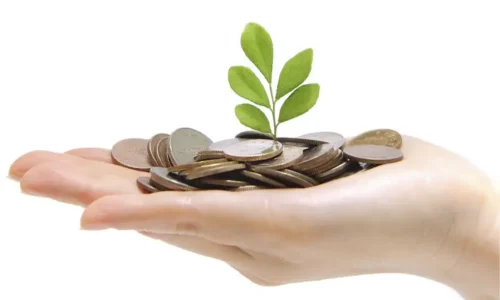 foam grwoth strategy foam grwoth strategy